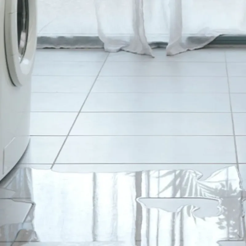 Appliance Leak Cleanup in Winsted, MN