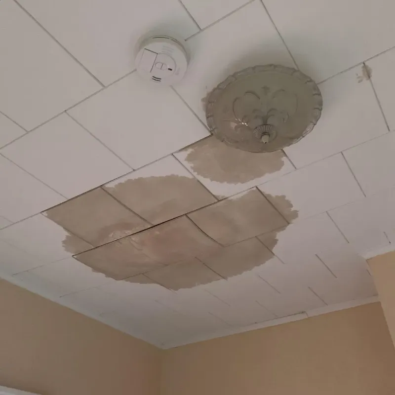 Ceiling Water Damage Repair in Winsted, MN