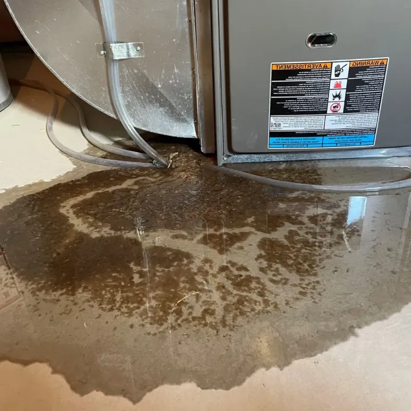 Pipe Burst and Leak Restoration in Winsted, MN